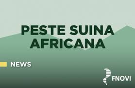 Informativa PSA peste suina africana